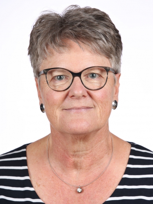 Monika Hochreutener, Co-Präsidentin